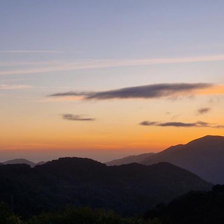 Vico Mare E Monti Chez Thomas Et Magali B&B 외부 사진